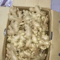 زنجبیل درجه یک