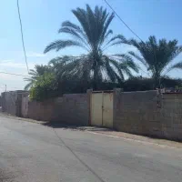 شهر-خورموج-لنکگ-خمینی-آباد