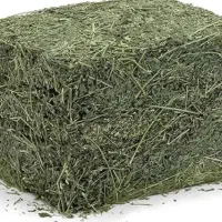 یونجه درجه یک