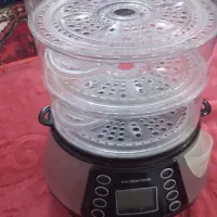 بخار پز