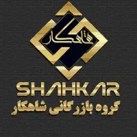 مدیر مالی