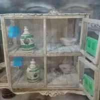 کجه گنجه یک متری