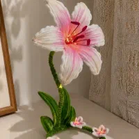 چراغ خواب