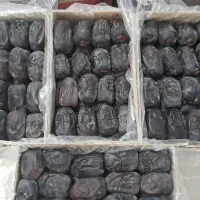 خرما ۳ردیف