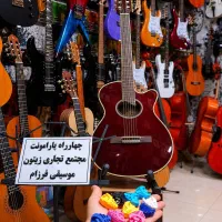 گیتار آموزشی تا حرفه ای (همراه پیک رنگی)