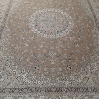 یک جفت رو فرشی ۱۲ متره