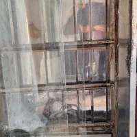 فر جوجه گردان