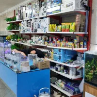 انواع ماهی و اکواریوم