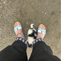آقای تدی هستم