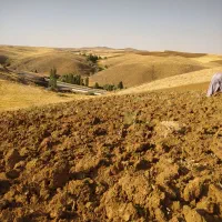 زمین کشاورزی حدودآدوهکتا ردیم وقسمتی آبی وچشمە ا