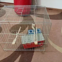قفس پرنده