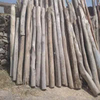 خریدچوب سپیدارو سقفی
