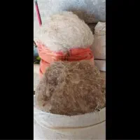 حلاجی‌دستی‌پشم‌،یون‌دیدمخ‌،دوخت‌انواع‌‌لحاف‌و‌تشک