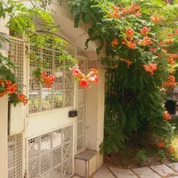 ۱۲۷ متـر/ عکس واقــعی / یونــیک خاص / قلب سجــاد|فروش آپارتمان|مشهد, سجاد شهر|دیوار