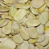 باقله خشک