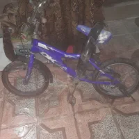 دو عدد دوچرخه