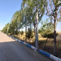 زمین-آماده-درخت-کاری-وساخت-باغ-ویلا