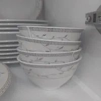 ظروف چینی ۲۰ پارچه