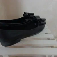 کفش پاپیونی