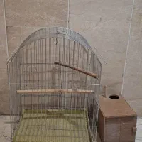قفس پرنده