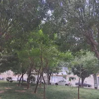 زمین۲۰هزارمترصالح آباد باغچه شهرکی گلخانه صالحاباد