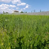 زمین ویلایی امندی شهریار نزدیک‌ اتوبان