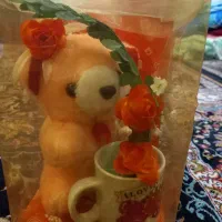 عروسک|اسباب‌‌بازی|قدس, شهر‌قدس|دیوار