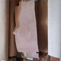 موکت کرم رنگ