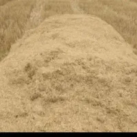 کاه برای فروش
