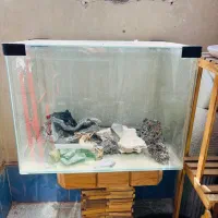 اکواریوم