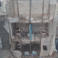 جفتگاه6جفتی