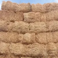 کلش
