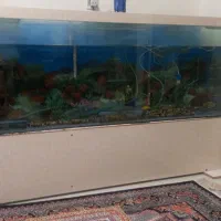 آکواریوم شیشه ۱۰میل طول ۱۷۰سانت ارتفاع ۷۰سانت عرض