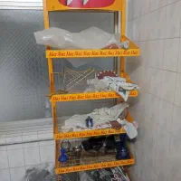 قفسه ایستاده