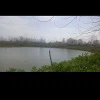 5-هکتار-ویلایی-گیلان-رشت-سنگر