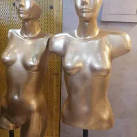 دوعدد مانکن