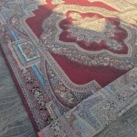 قالی درحدنو۷۰۰شانه