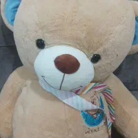 خرس|اسباب‌‌بازی|نقده, |دیوار