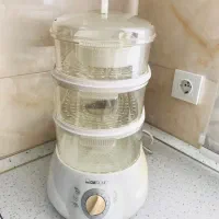 بخار پز کلترونیک