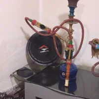 دوعدد قلیان به قیمت یک عدد