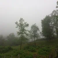 200متر-زمین-باغی
