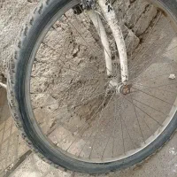 دوعدد چرخ فروشی فوری