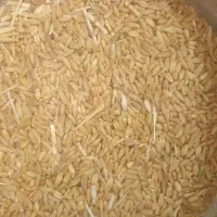 گندم|خوردنی و آشامیدنی|سپیدان, |دیوار