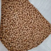 نخود ابگوشتی درجه ۱