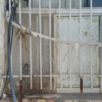 دو عدد دب حفاظ