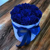 گل مدرن|گل و گیاه طبیعی|خرمدره, |دیوار