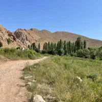 گردشگری
