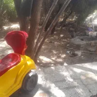 سلام مرغ شاخدار جفت معاوضه