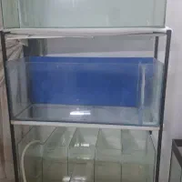 آکواریوم