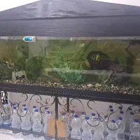 اکواریوم کامل اماده